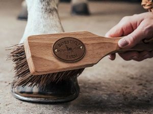 BROSSE À SABOT BORSTIQ “ISLANDAISE”