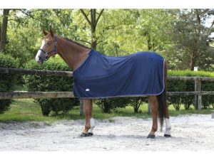 CHEMISE EQUITHÈME “MICROFLEECE” STANDARD