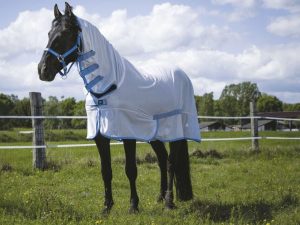 CHEMISE FILET RIDING WORLD “COMBO”