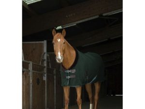 CHEMISE POLAIRE EQUITHÈME “TEDDY”