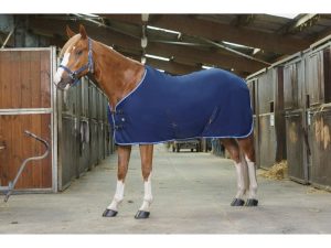 CHEMISE POLAIRE RIDING WORLD, SURSANGLES CROISÉES