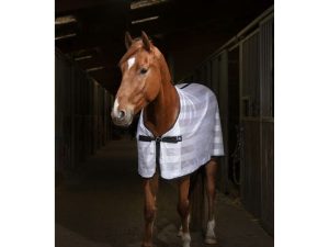 CHEMISE RIDING WORLD “MESH”