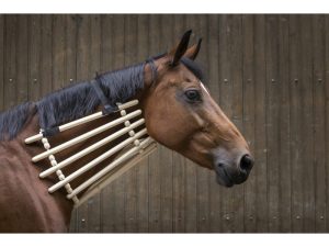 COLLIER DE BOIS HIPPOTONIC