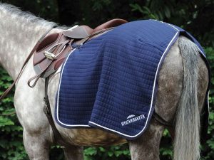 Couvre reins WEATHERBEETA THERMOCELL Marine