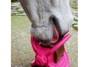 Jouets pour chevaux