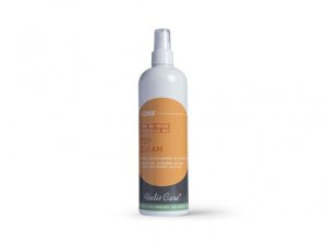 SPRAY ASSAINISSANT ALODIS CARE “TOP CLEAN”