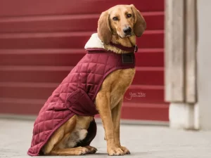 Manteau pour chien Original