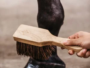 Brosse à sabots