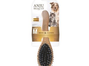 BROSSE 2 EN 1 – M