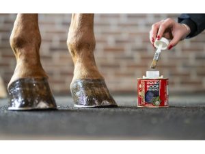 HUILE POUR SABOTS KEVIN BACON’S HOOF DRESSING – LIQUIDE